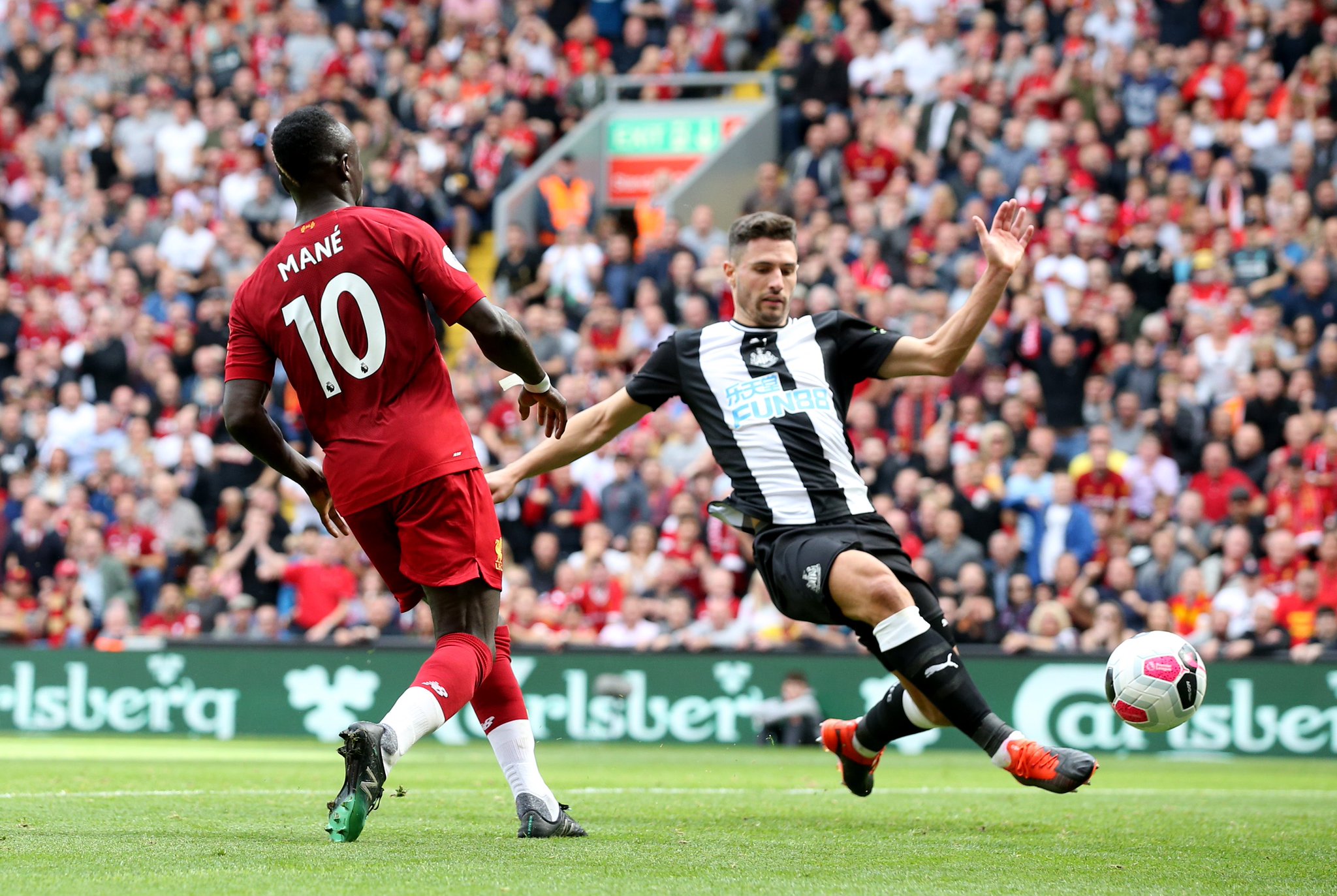 出售道格拉 出售道格拉